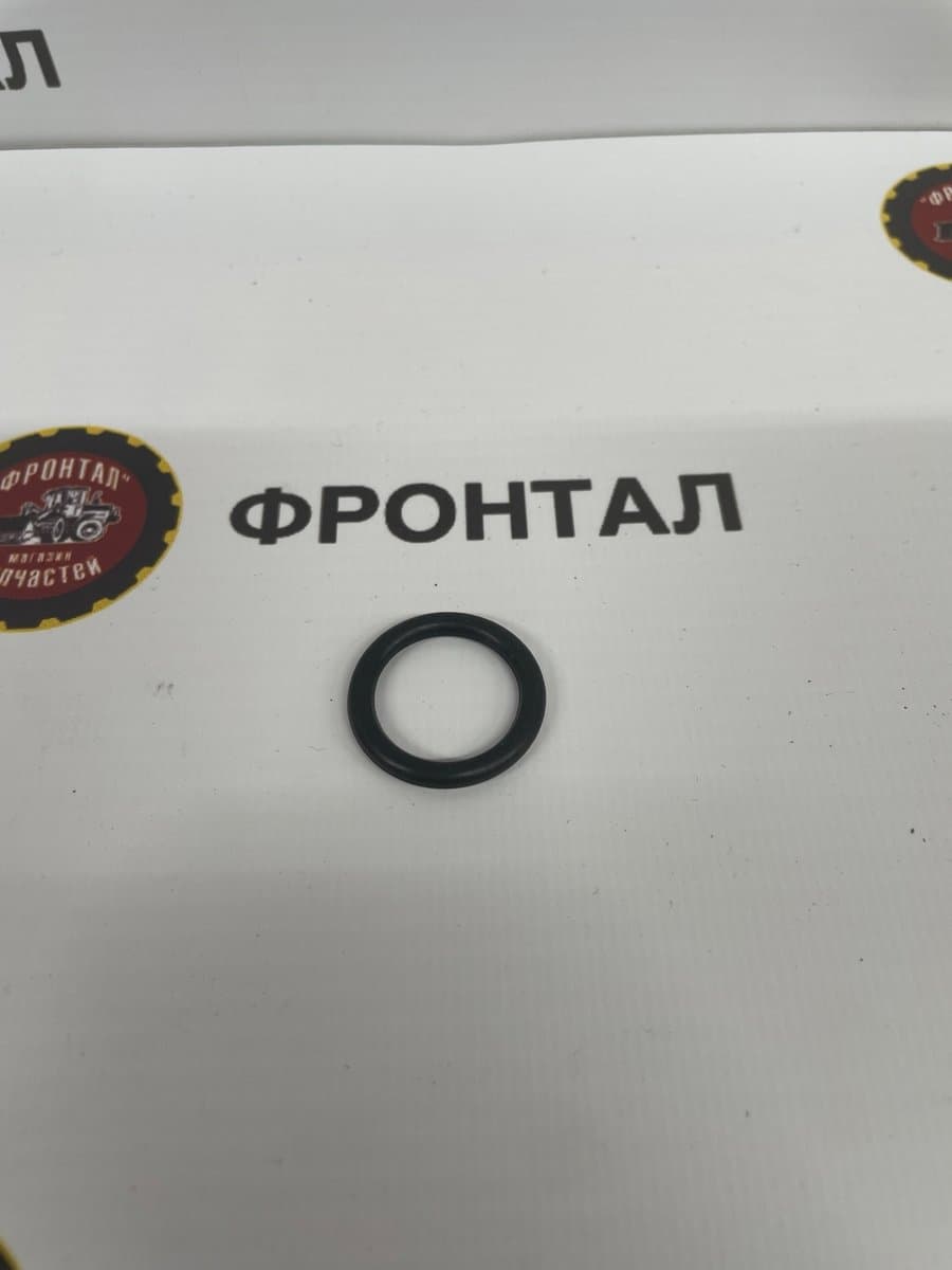 Кольцо уплотнительное форсунки Е2 609070080