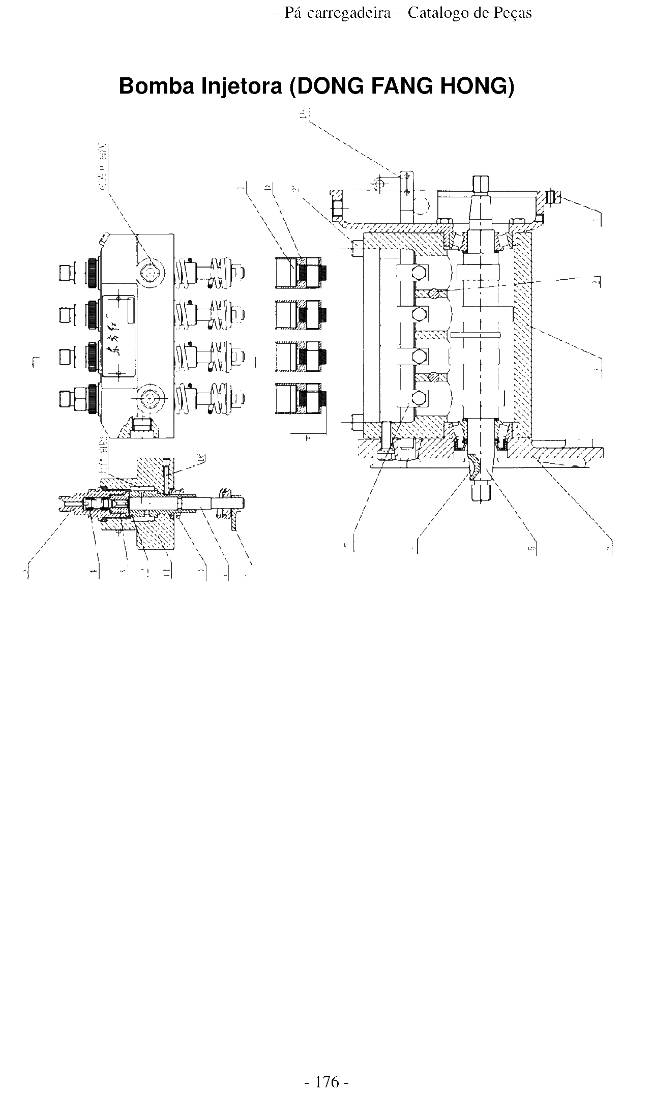 FIG.166 Bomba Injetora (DONG FANG HONG)