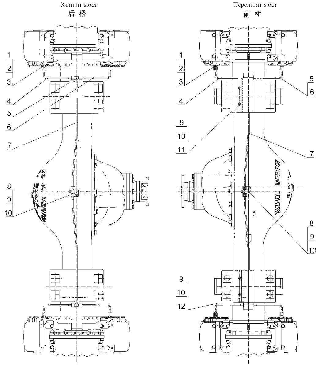 16007